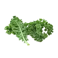 Baby Kale