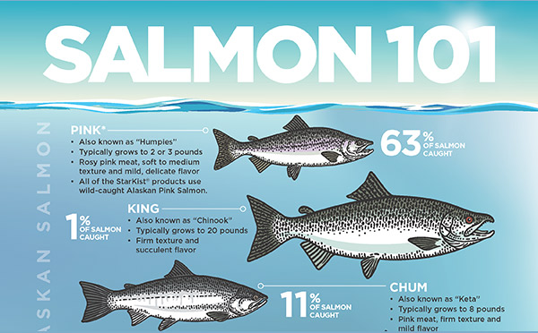 Salmon 101